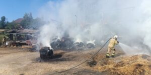 514387335_10028685837254748_5974178091005594524_n