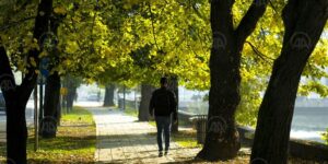 20201028_2_45058300_59251125_Preview-1000x576-1