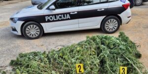 5ef2a264-2149-48e9-9af2-4ceaf929b5e5