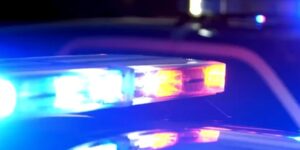 Porodični masakr: Mladić ubio tetku, majku i sestru, pa zapalio kuću – brat (7) ranjen uspio da pobjegne policija_rotacija_2