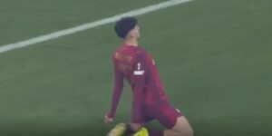 kerim-alajbegovic