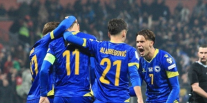 zmajevidedicalajbegovicdzeko