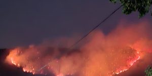 Veliki požar u kalesijskom naselju Gojčin 788261440_28131656656504234_8415058357262625756_n