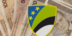 Ko će dobijati do 400 KM? Tuzlanski kanton uvodi pravo na personalnu asistenciju socijalna_tk_davanja_kanton